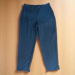 Eileen Fisher Gray Tencel Comfy Pants size Women’s Medium